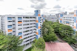 Blk 114 Chong Pang Vale (Yishun), HDB 4 Rooms #537801041